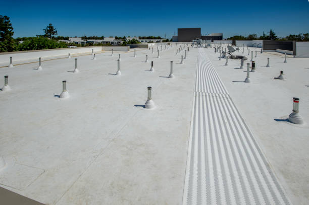 Best Roof Moss and Algae Removal  in Countryside, IL